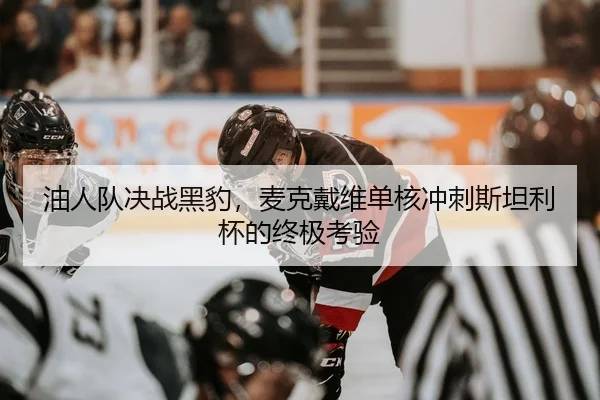 油人队决战黑豹，麦克戴维单核冲刺斯坦利杯的终极考验